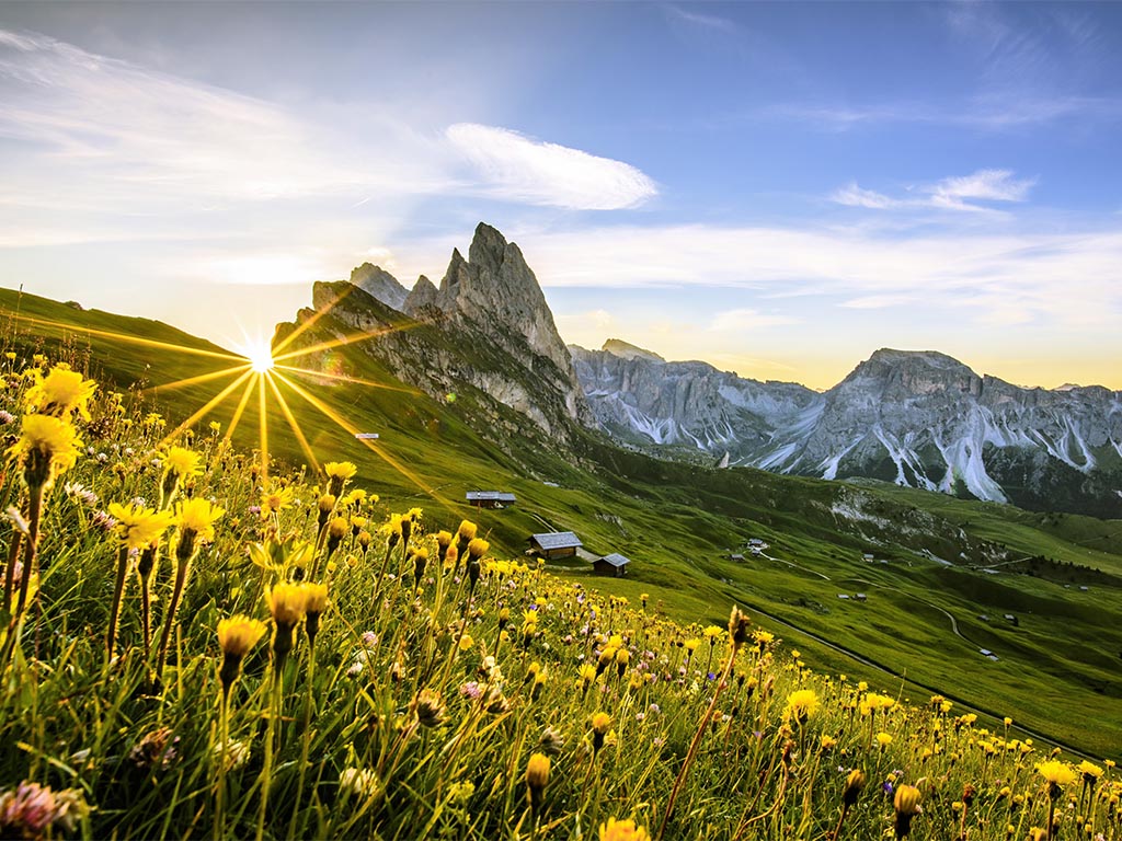 Dolomiten - Geisler Spitzen Seceda im Sommer