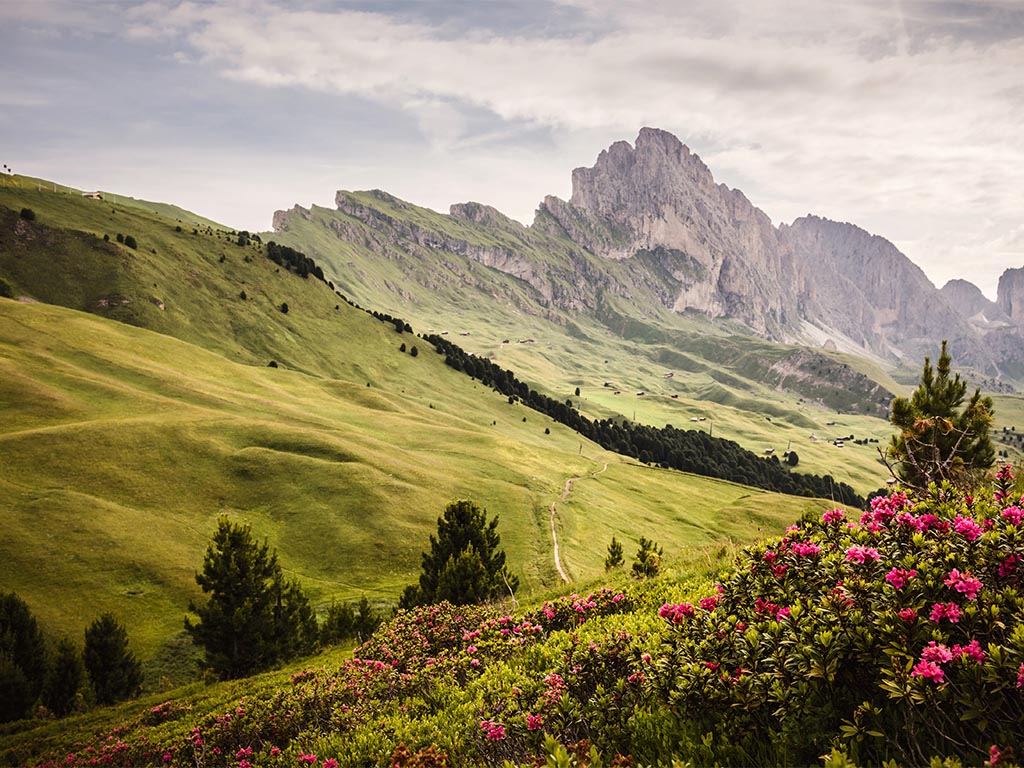 Wandern auf der Seceda im Sommer