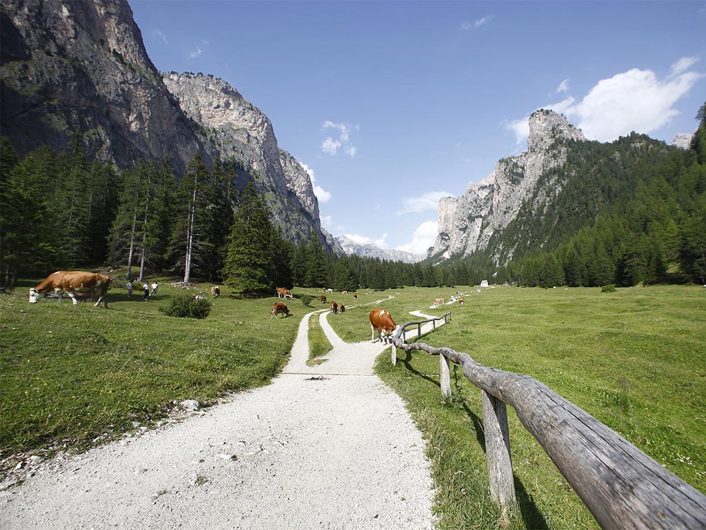 Wandern im Langental in Wolkenstein in Gröden